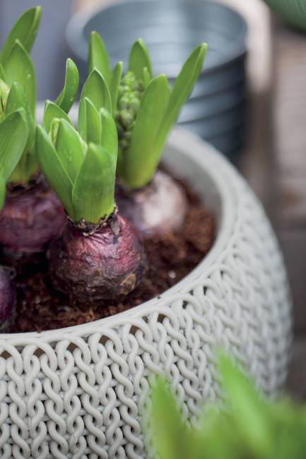 Кашпо Cozies S подвесное серый Кашпо Cozies S подвесное серый