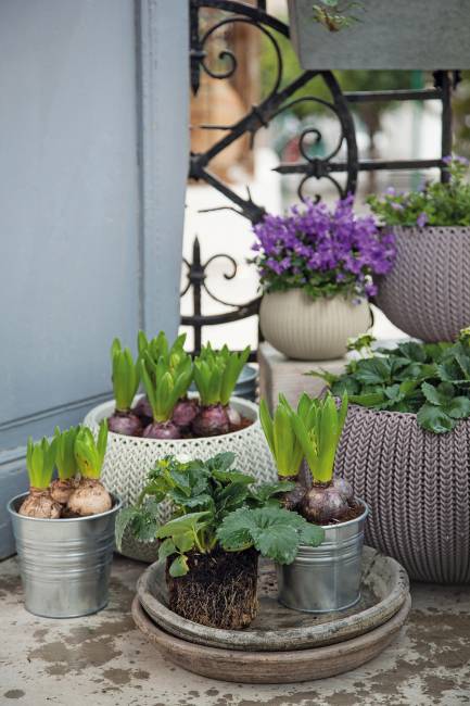 Кашпо Cozies S подвесное серый Кашпо Cozies S подвесное серый