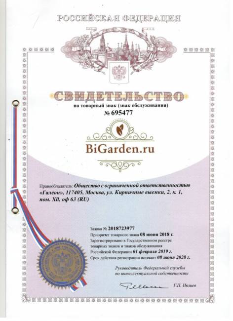 Подвесное кресло в виде капли "Tropica White" Зеленая подушка