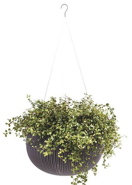 Кашпо Cozies S  подвесное Violet 610