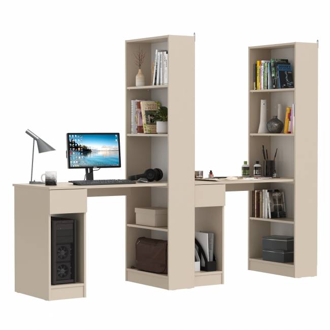 Лайт шкаф комбинированный с компьютерным столом 10.01 цвет сатин